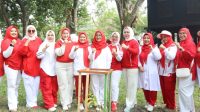 Oplus_131072